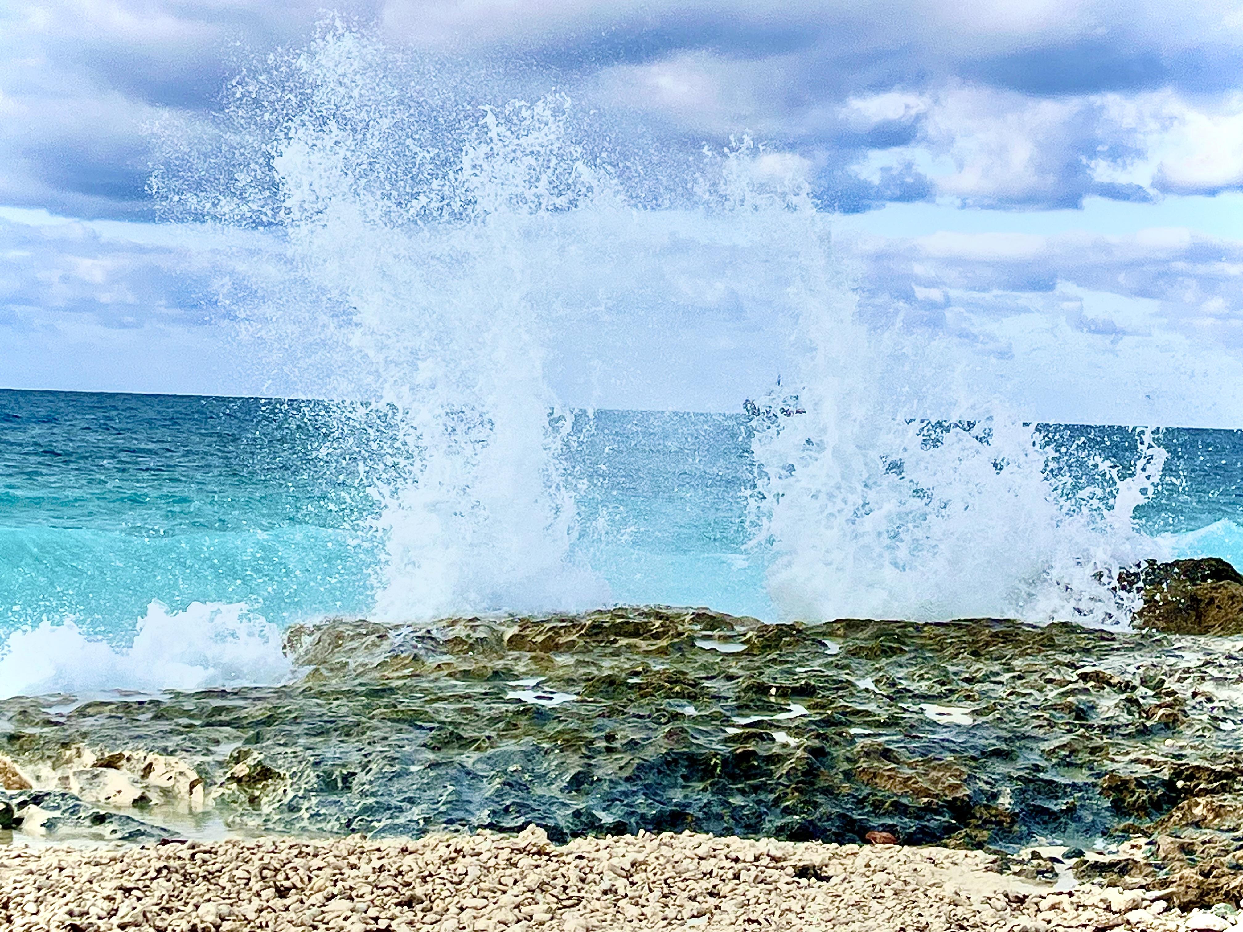 The Wedding Website of Daniel Schwartz and Joey Fiorentino