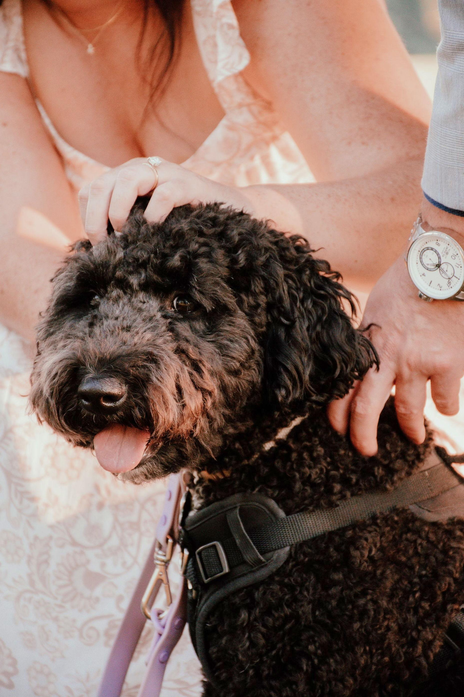 The Wedding Website of Zoe Gepfert and Richard Wendel