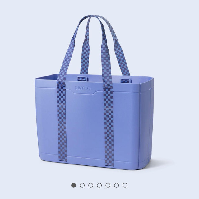 Owala Collapsible Tote Bag