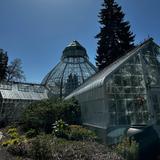W.W. Seymour Botanical Conservatory