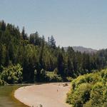 Johnson's Beach
