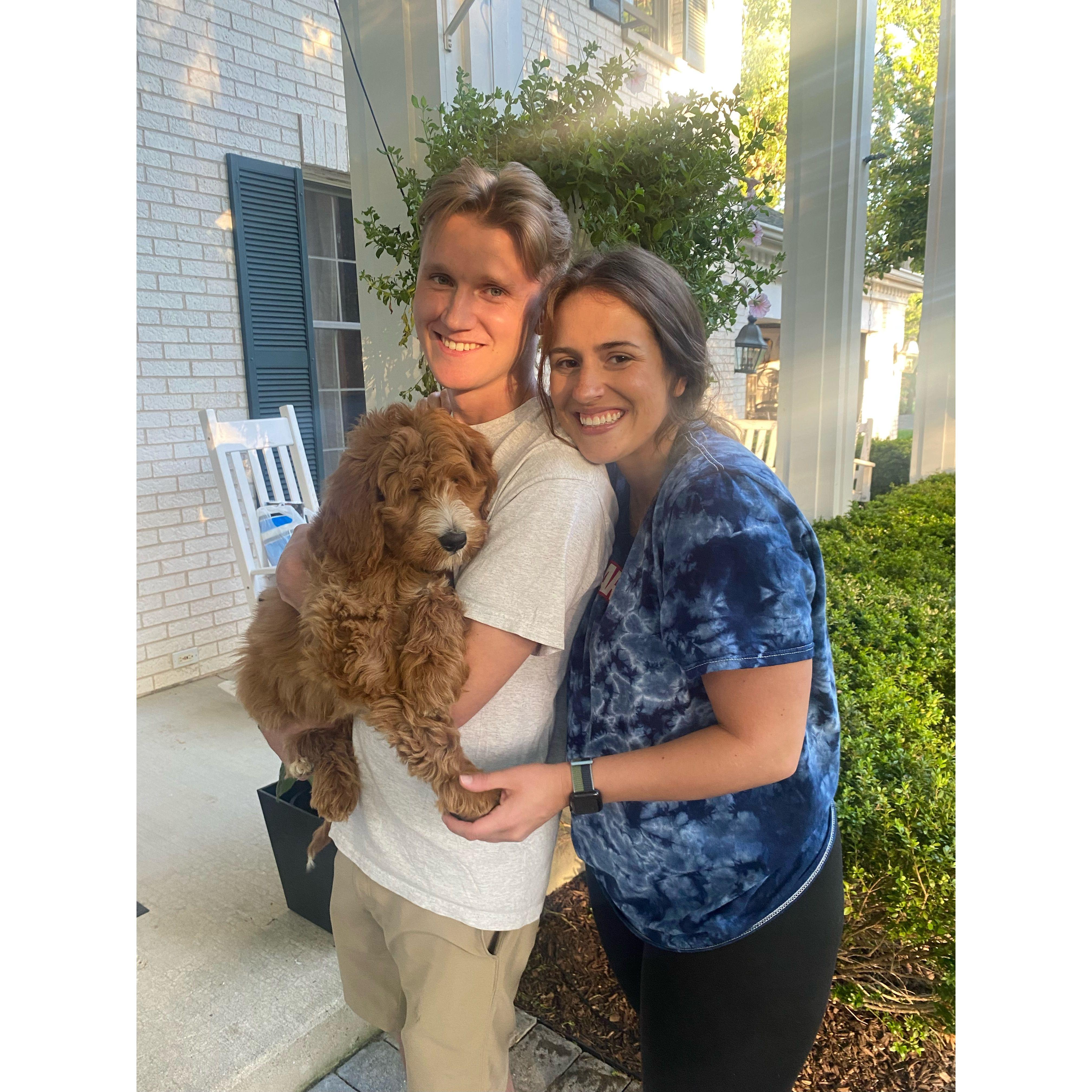 Alex finally caved and we adopted Joey, the not so little, Goldendoodle in 2022