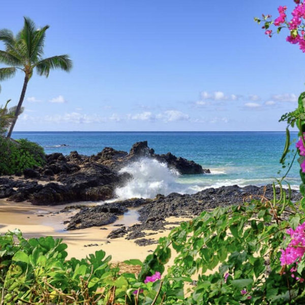 Hawaii Honeymoon