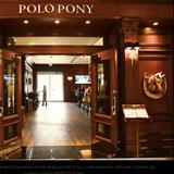 The Polo Pony