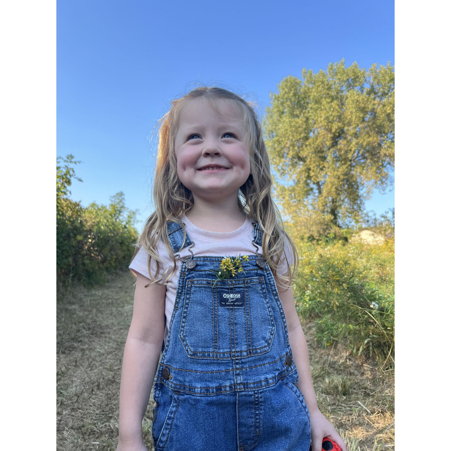 Aiylah Jo - our Whole World!