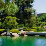 Japanese Friendship Garden of Phoenix