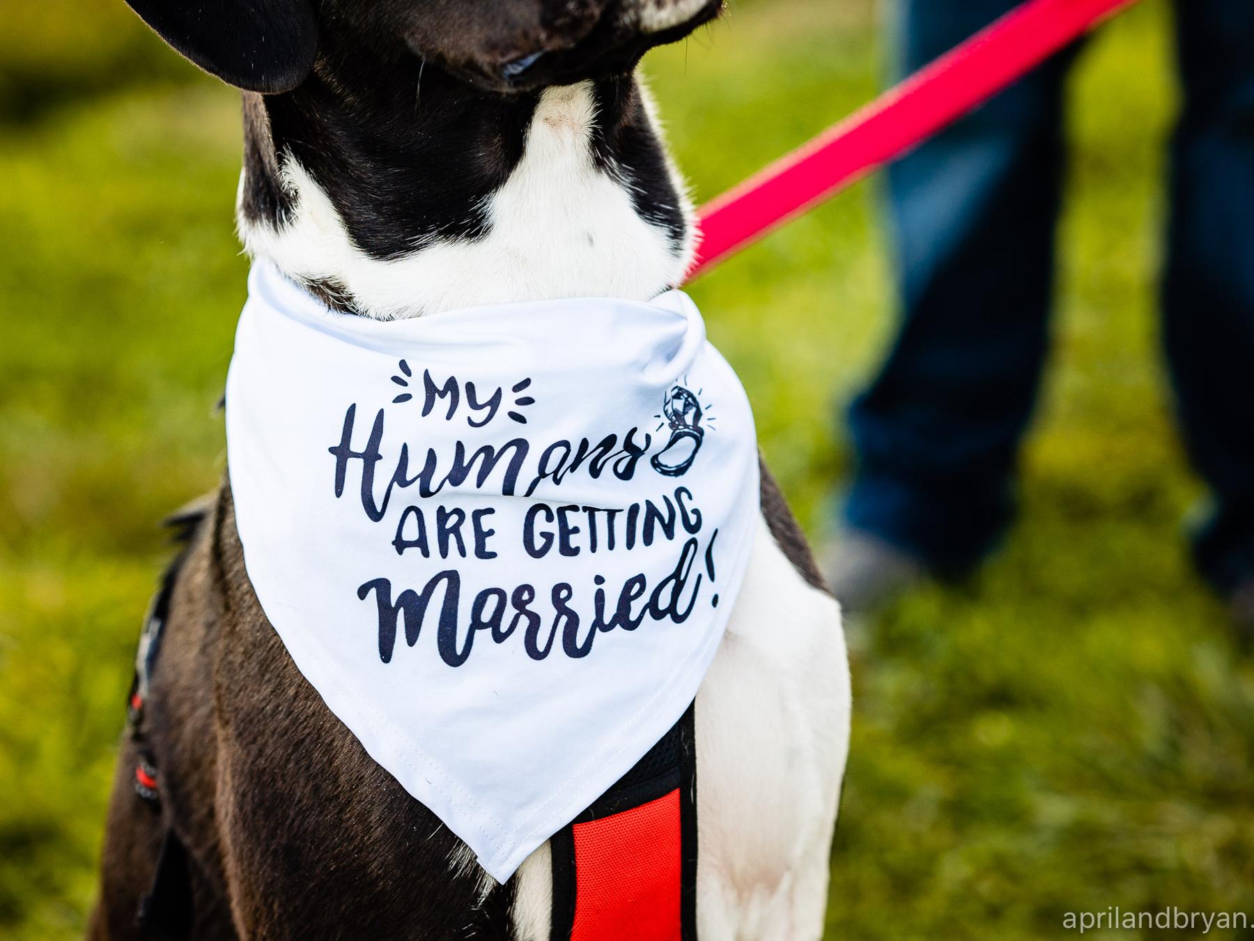 The Wedding Website of Megan Miller and CJ Hirst