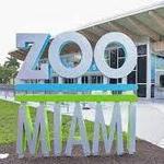 Zoo Miami