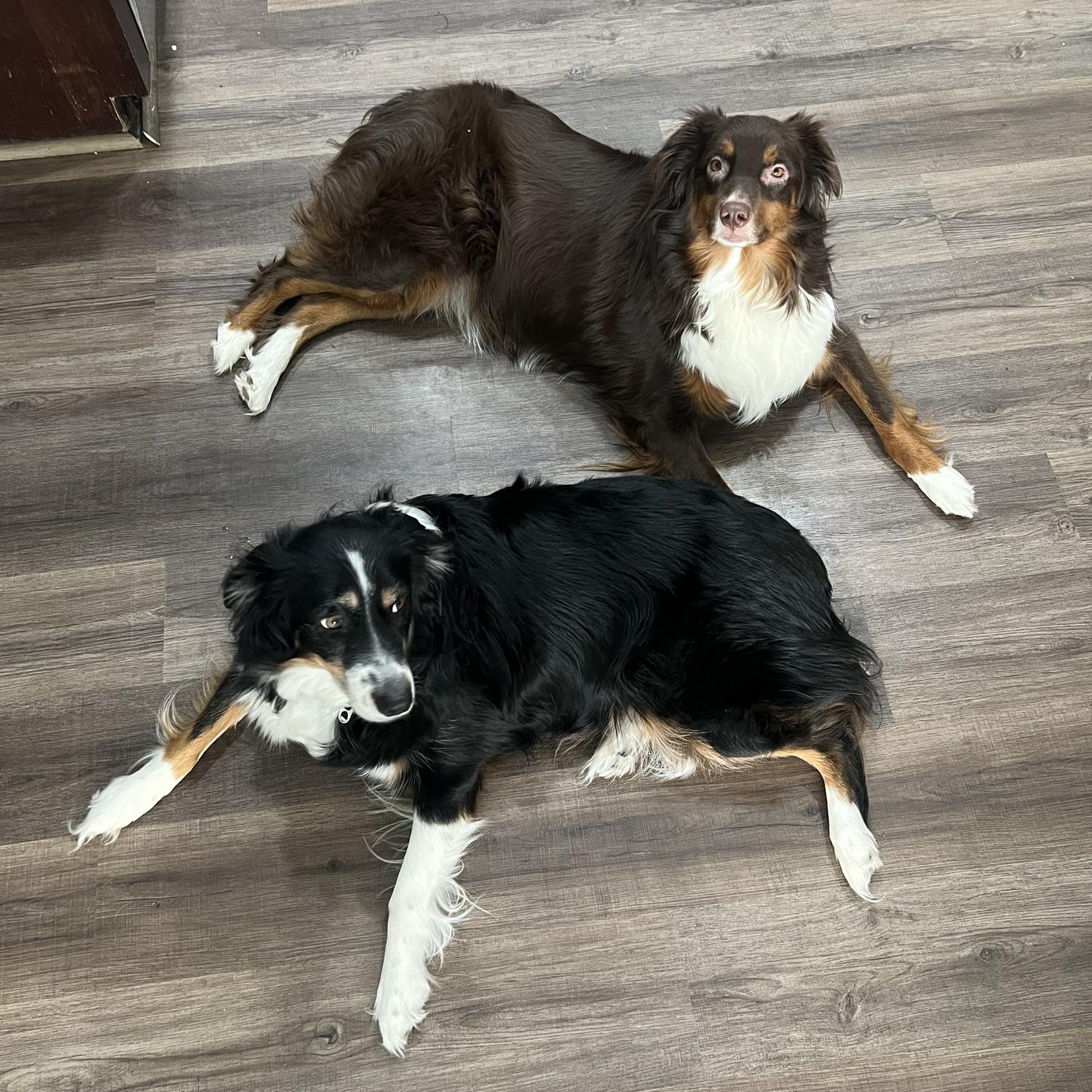 Skye & Abby