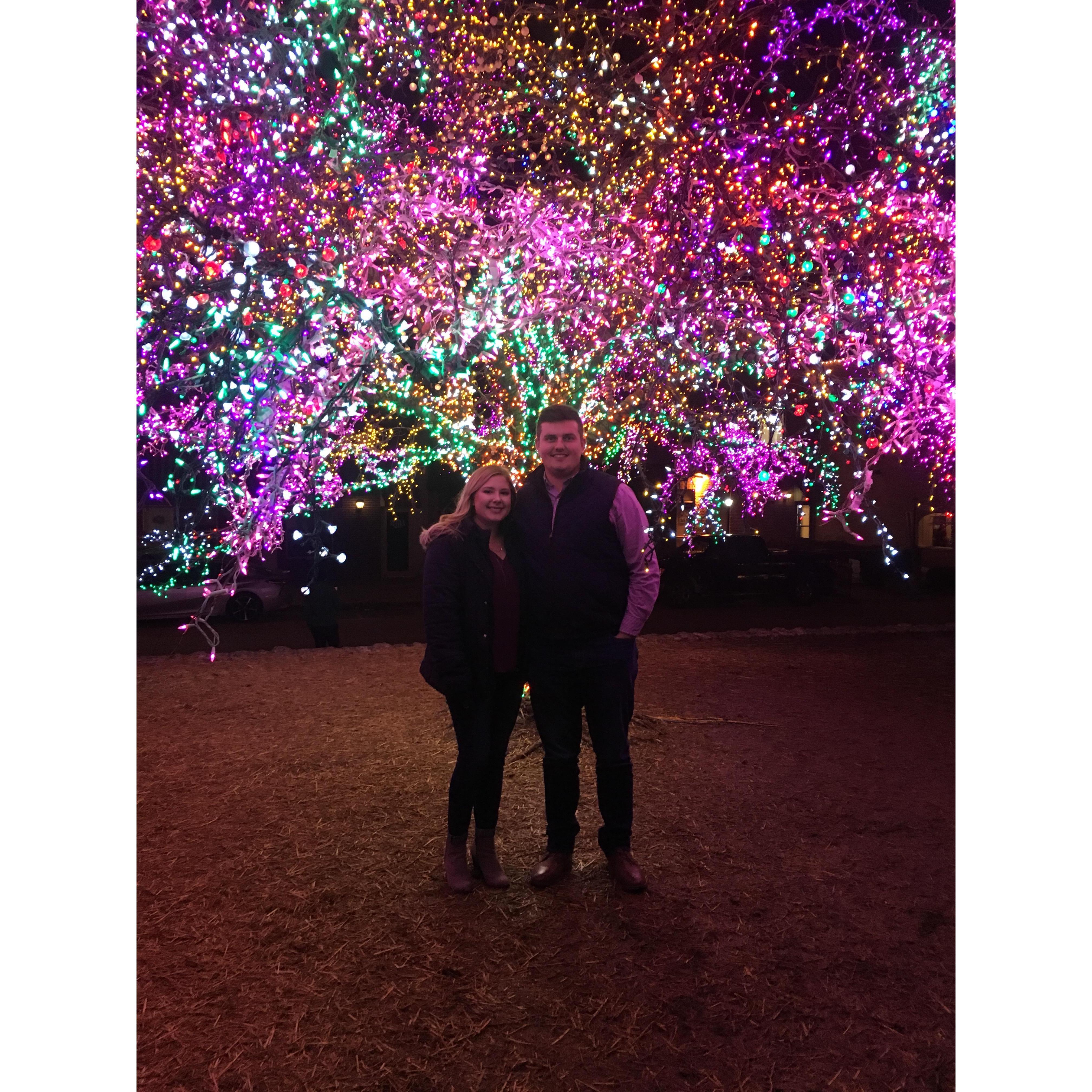 Magic Tree 2018