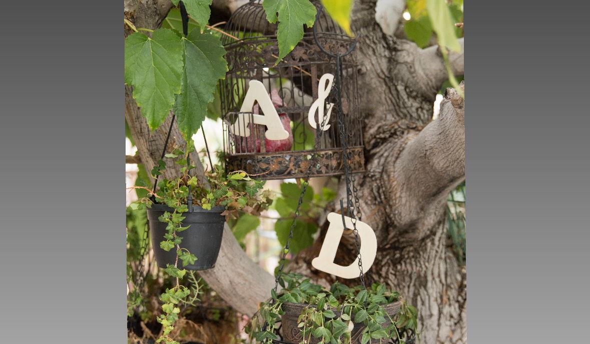 Hero Slideshow Image 3