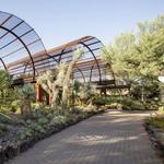 Desert Botanical Gardens