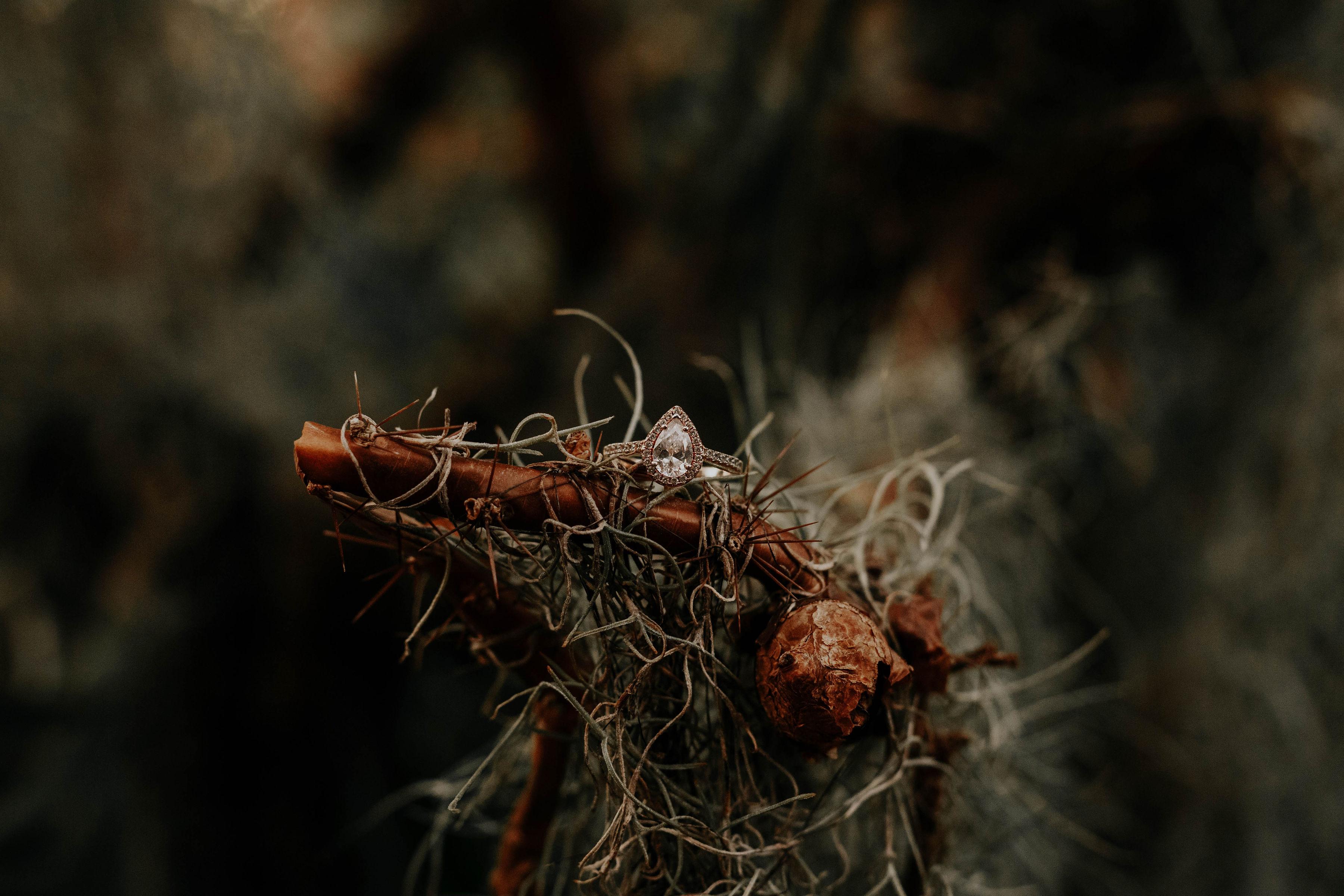The Wedding Website of Kelly Johnson and Gaylen LeBouef