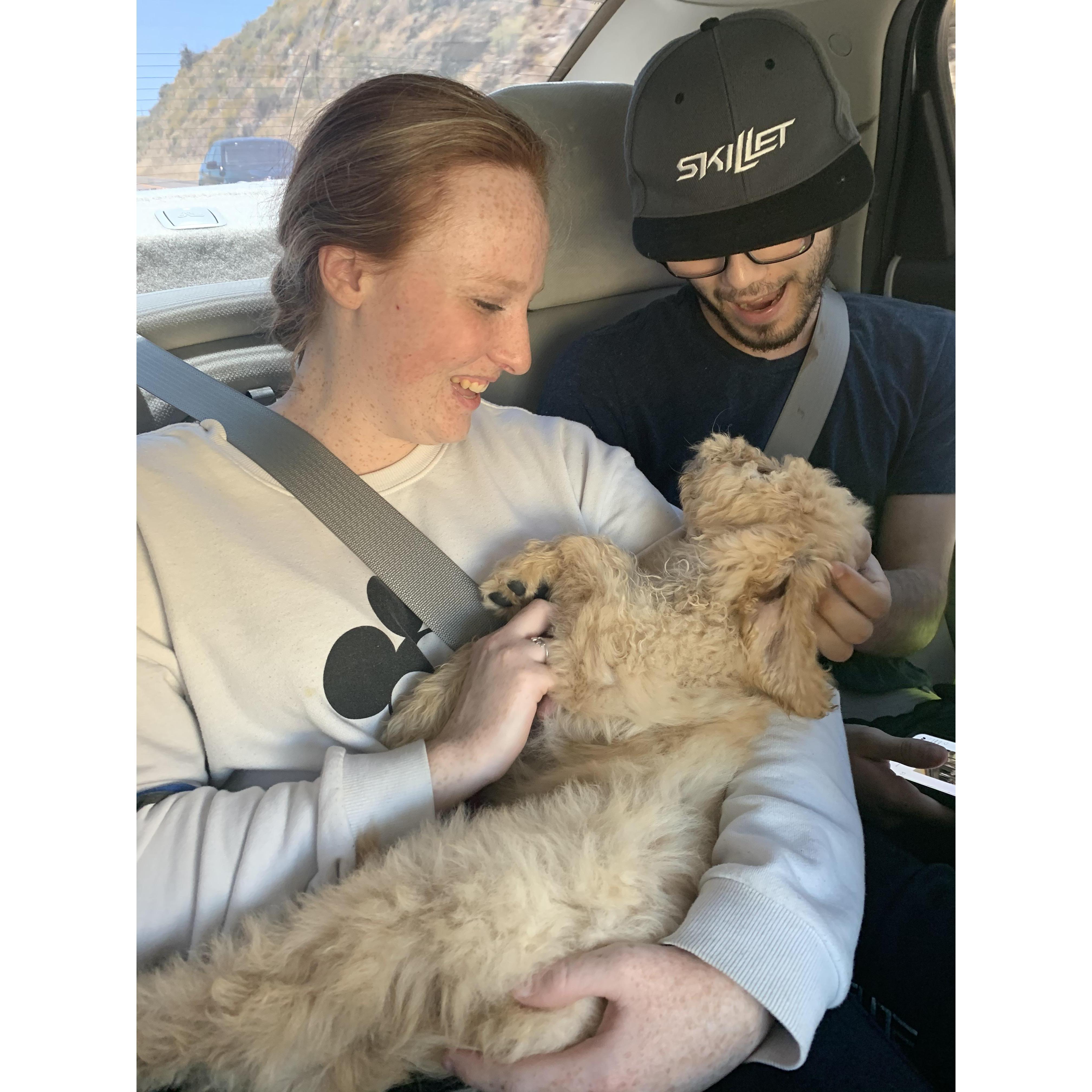 The Drive Home From Picking Up Bailey