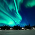 Pleasant Acres Reindeer Ranch