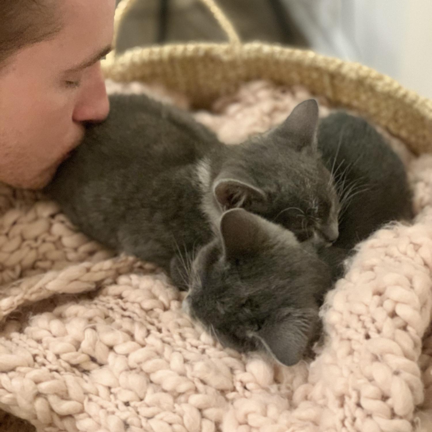 The day we became cat parents!