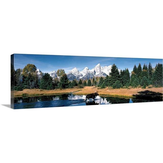 Moose & Beaver Pond Grand Teton National Park WY Canvas Wall Art Print, 36"x12"x1.25"