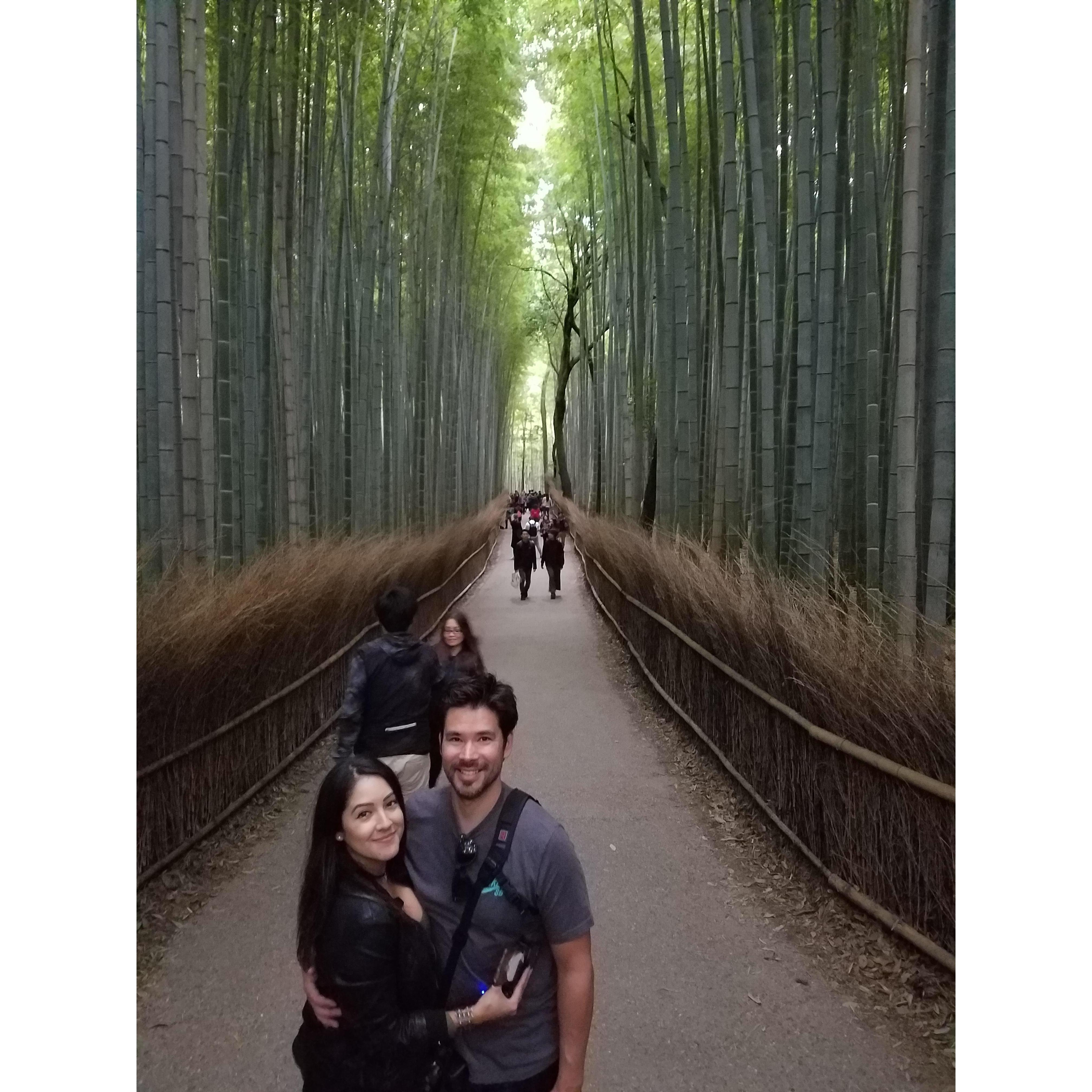 Arashiyama Bamboo Grove in Kyoto, Japan - 2016