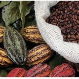 Spice Farm Tours