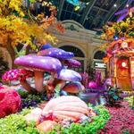 Bellagio Conservatory & Botanical Gardens