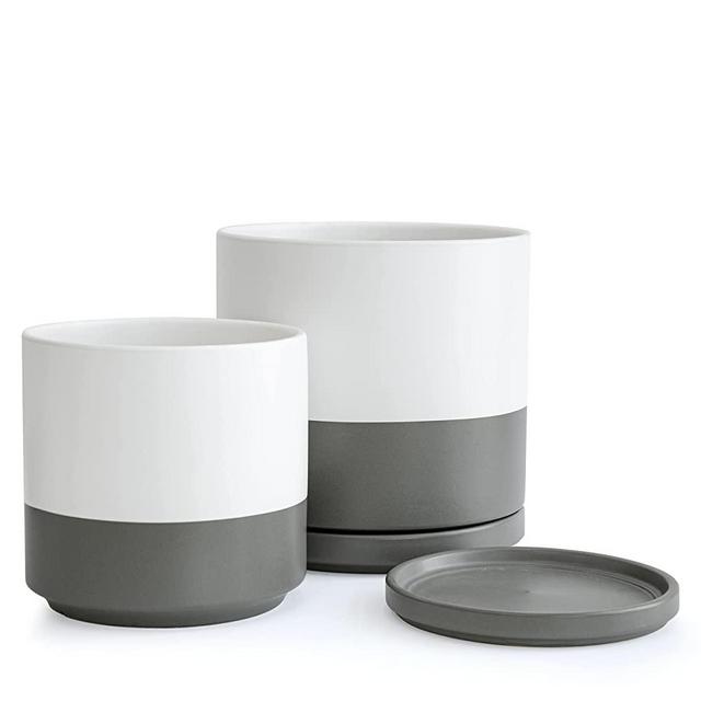 Large Plant Pots Set, 8 Inch & 10 Inch Ceramic Planter Pot for Plants with Drainage Hole and Saucer, White/Speckled Grey, 94-G-L-6
