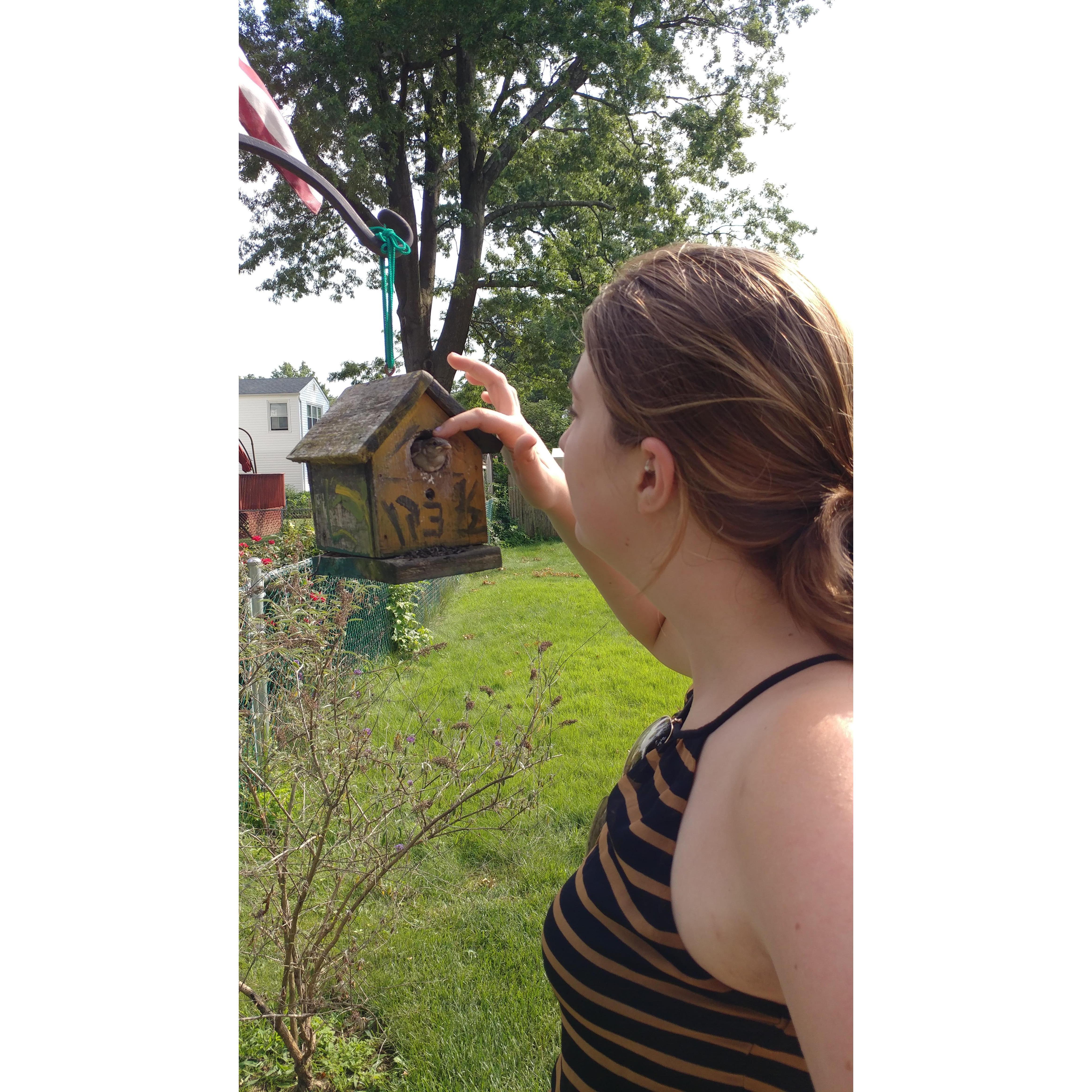 It took all summer one year, but Hannah befriended the bird in the backyard.