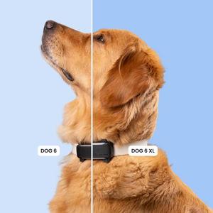 Smart Dog Tracker - Mint