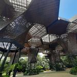 Jardín Botánico de Medellín