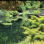 Sarah P. Duke Gardens