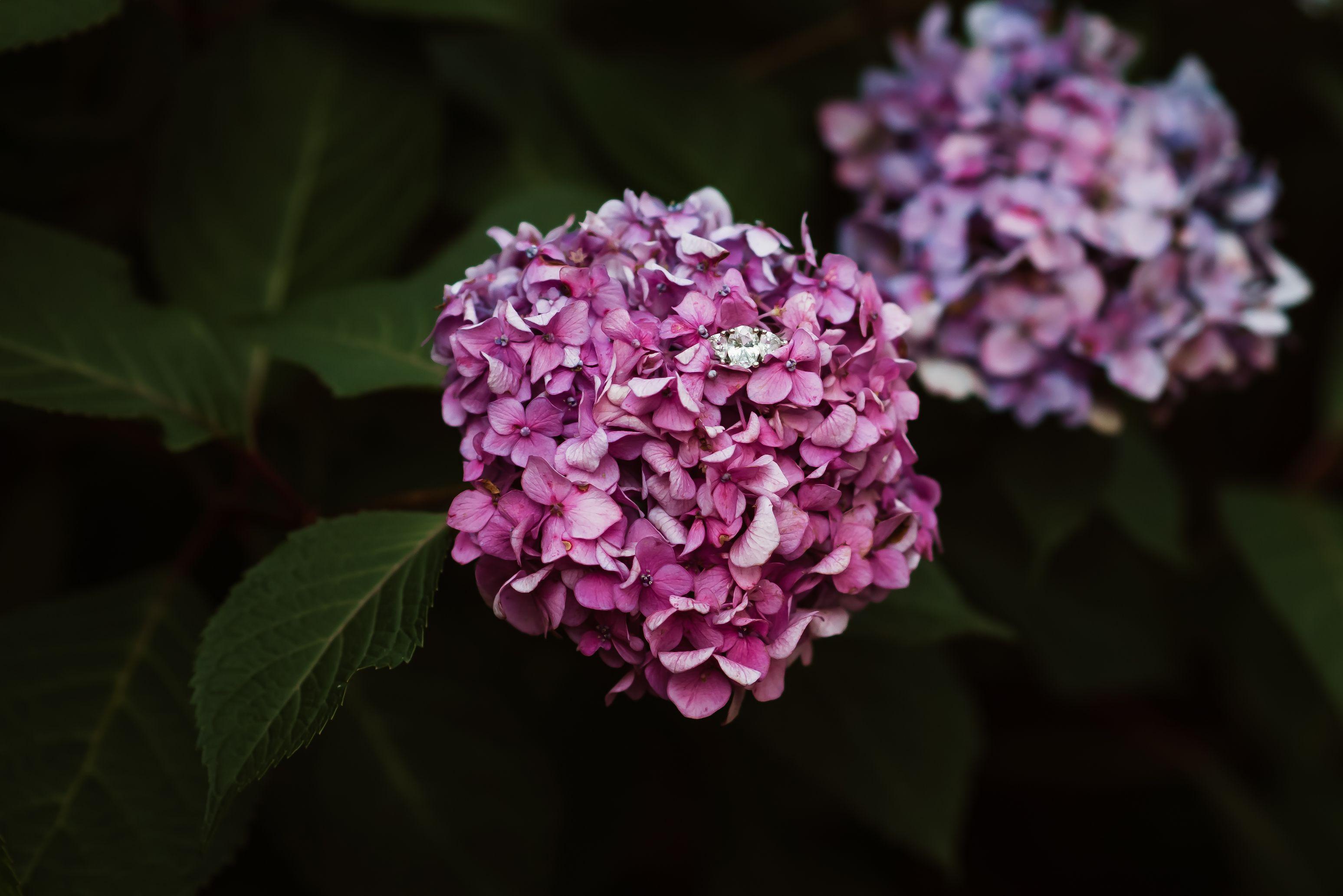 92f696f9-1064-4553-a7c0-e72f6bff9844