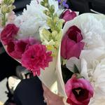 Fayetteville Farmer's Market & Historic Square