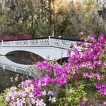 Magnolia Plantation and Gardens