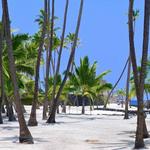 Pu'uhonua O Honaunau National Historical Park