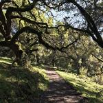 Sonoma Valley Regional Park