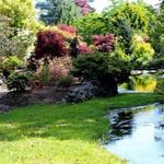 Whitney Gardens and Nursery