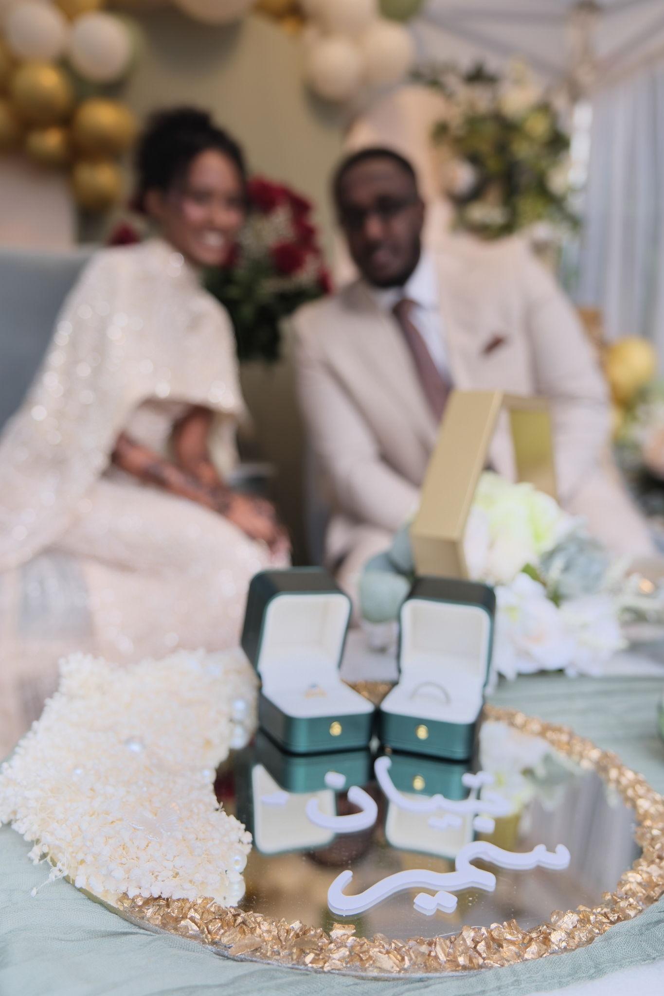 The Wedding Website of Tibian Hassan and Samir Khirie