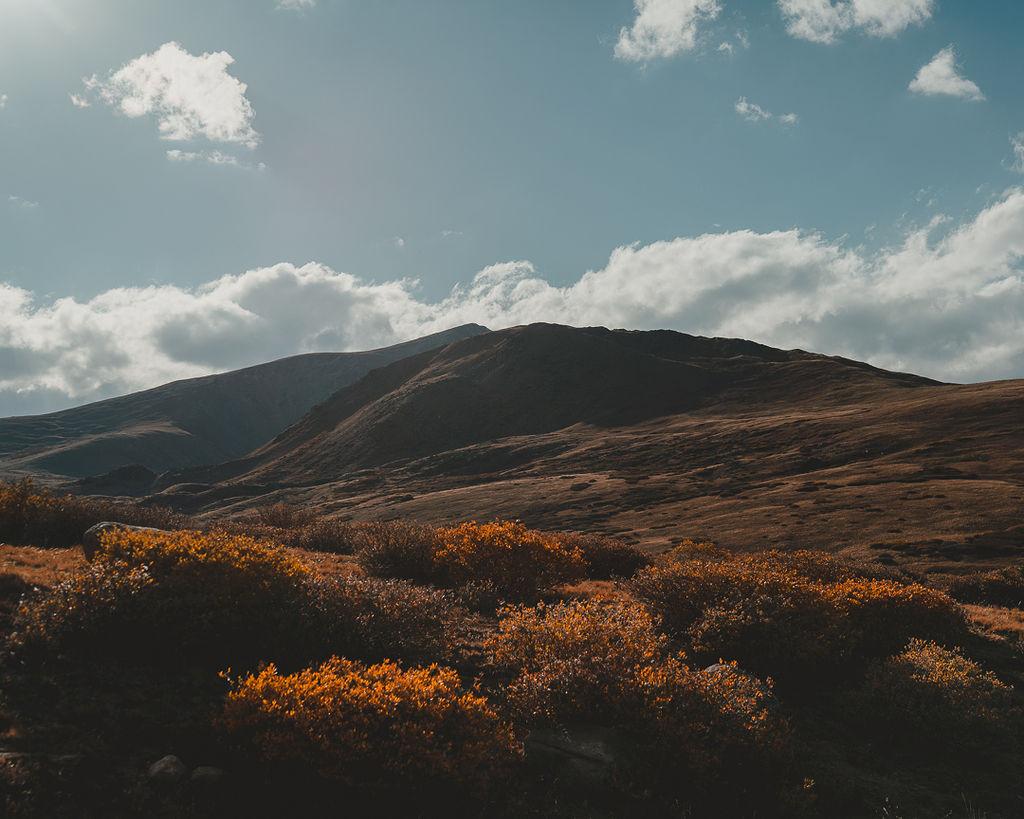 92ff741a-66cc-48e5-9c98-53e9f01140e3