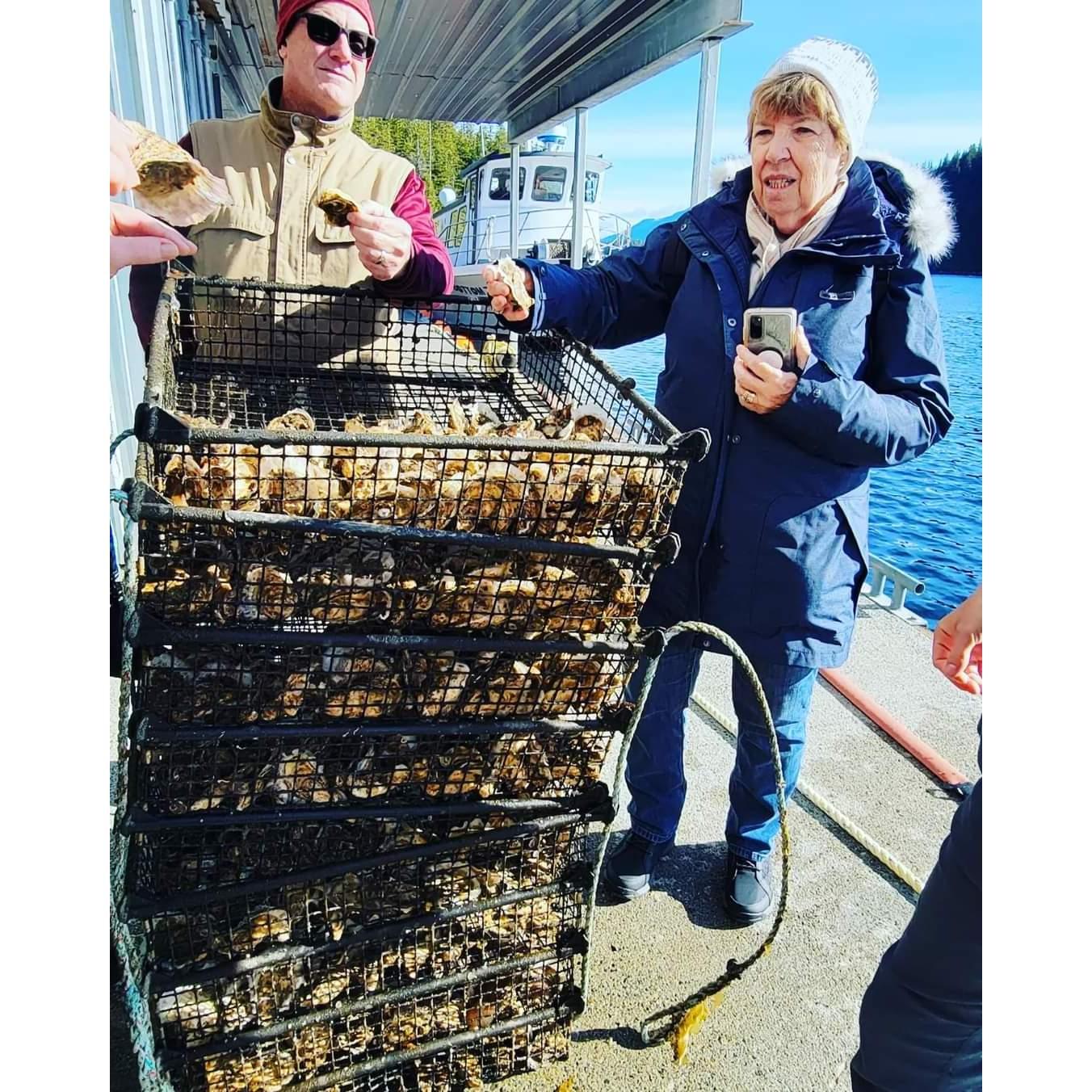 Oysters!