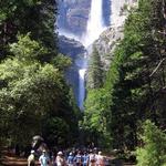 Lower Yosemite Falls Hike! EASY must do!