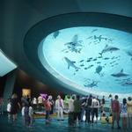 Phillip & Patricia Frost Museum of Science