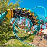 Busch Gardens Tampa Bay