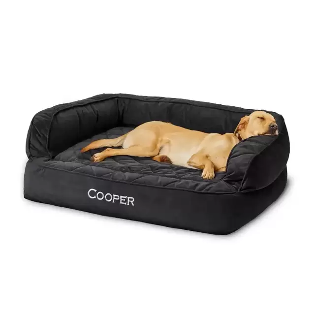 Orvis Personalized Memory Foam Couch Dog Bed