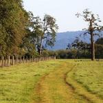 Sauvie Island Nature Trails