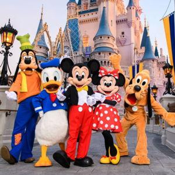 Walt Disney World Honeymoon Fund