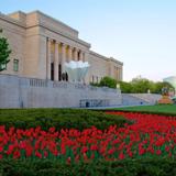The Nelson-Atkins Museum of Art