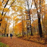 Kettle Moraine State Forest - Lapham Peak