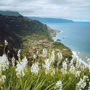 Jeep Tour of the Island in Madeira