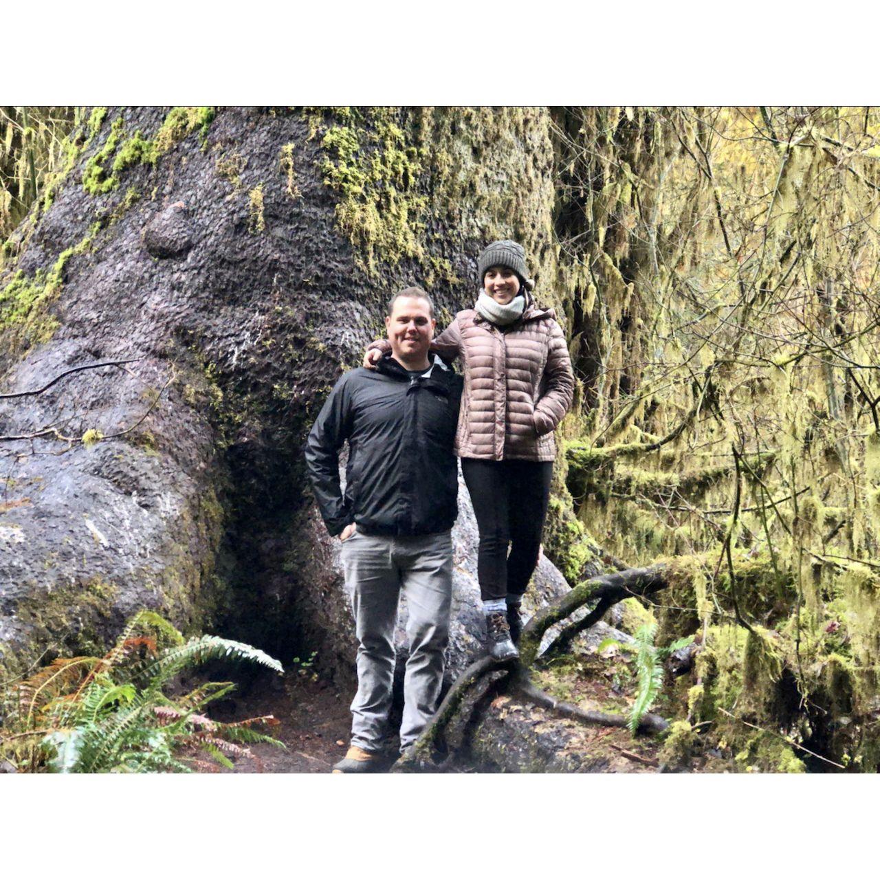 Olympic National Park - December 2019
