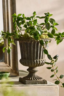 Cast Iron Linea Urn Planter