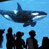 SeaWorld San Diego